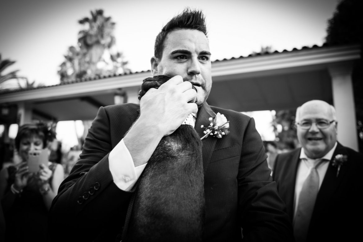 reportaje fotos boda valencia 7