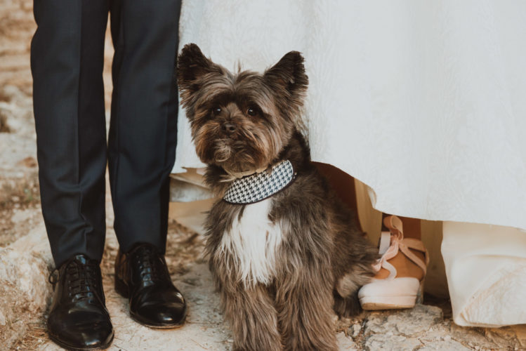 Postboda castillo xativa