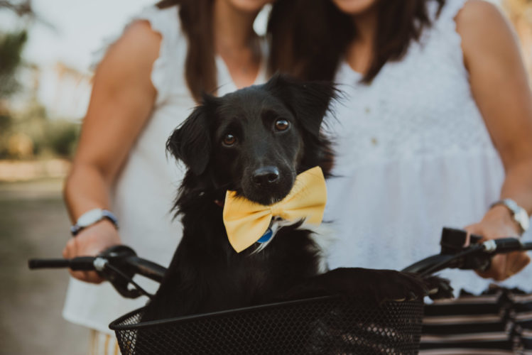 Boda Paula y Cristina