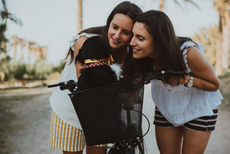 Boda Paula y Cristina